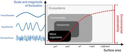 Editorial: Fluctuating Habitats: Ecological Relevance of Environmental Variability and Predictability on Species, Communities, and Ecosystems